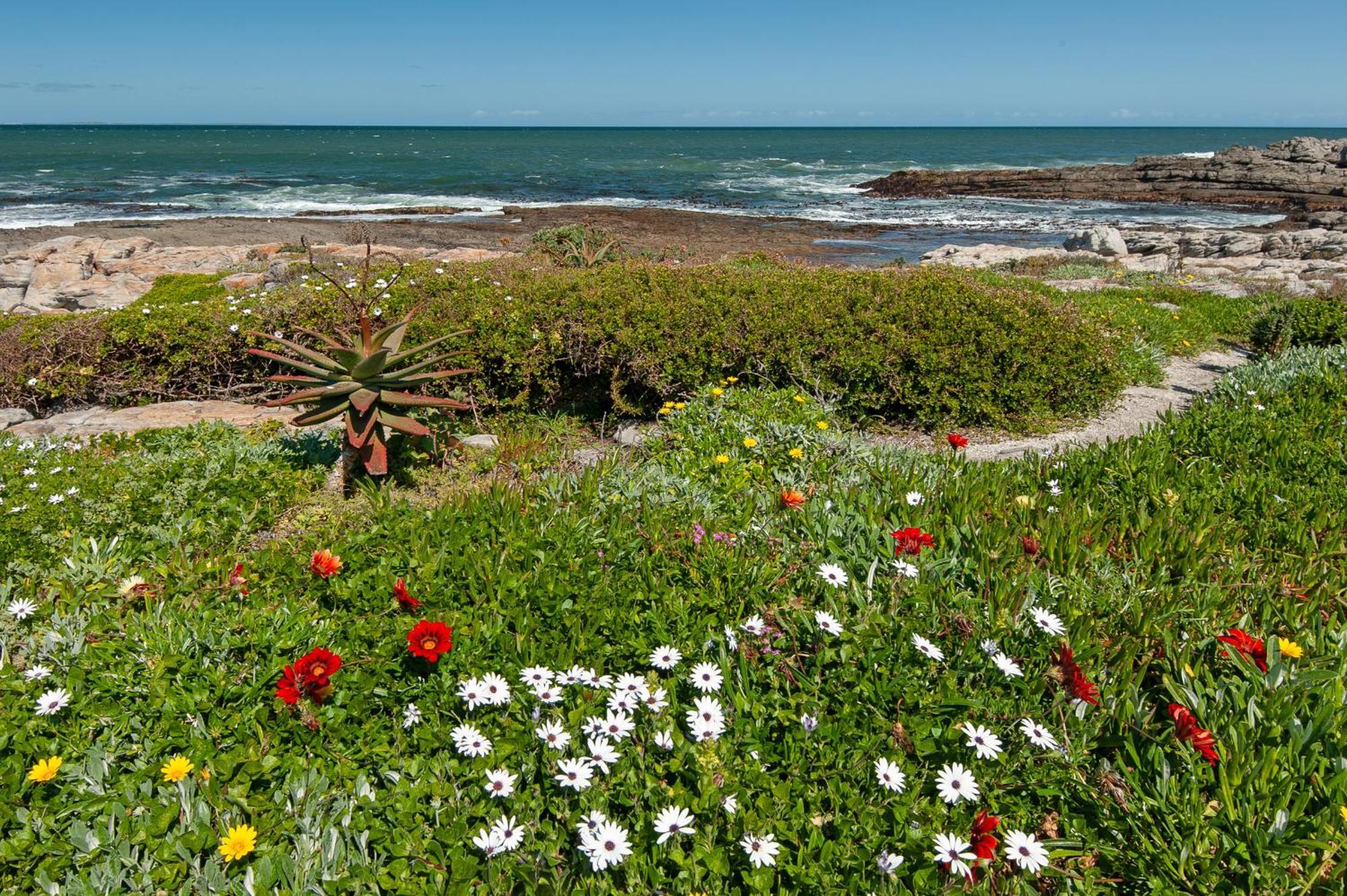 Apartmán 64 Whalerock Estate Hermanus Exteriér fotografie